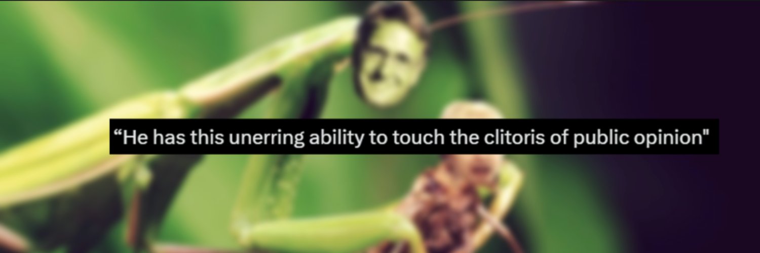 Mark Mantis's banner