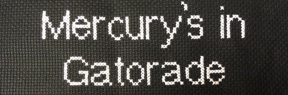 squirrelydanger's profile banner image