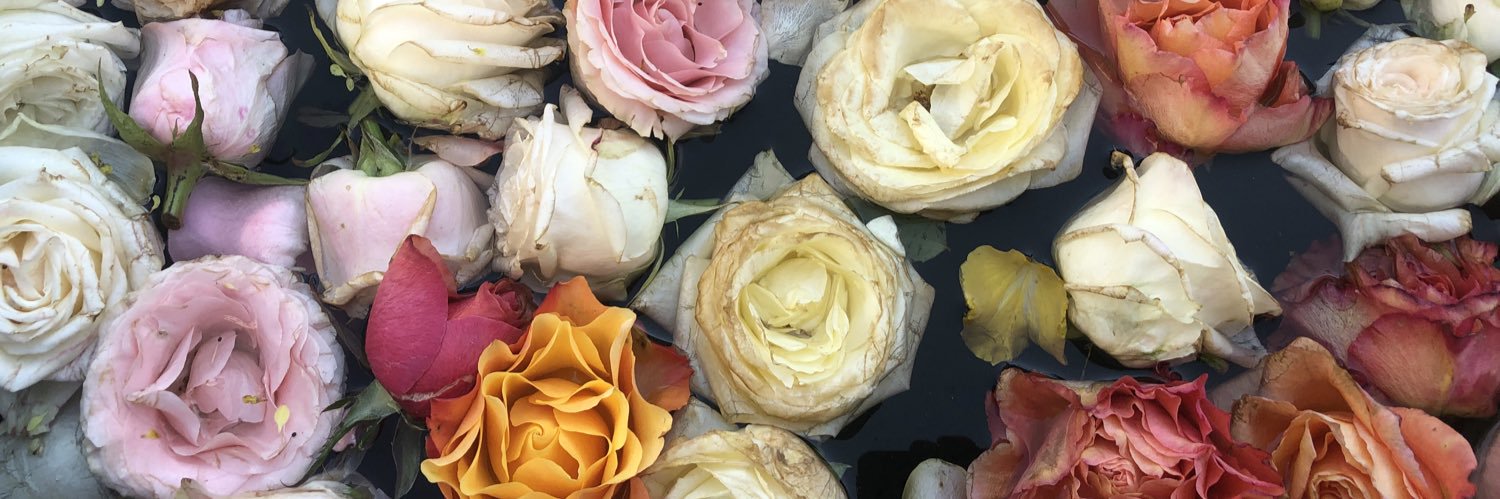 Mary 🌼 banner