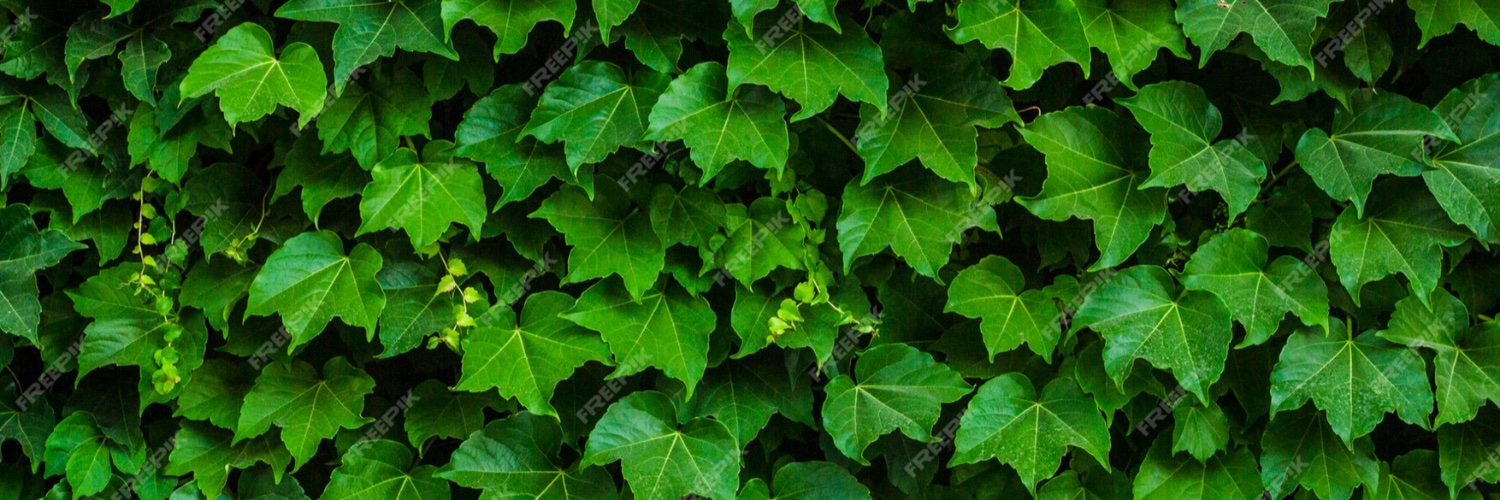 martaribaudi's profile banner image