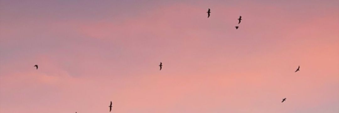 AndreaaAwesome's profile banner image