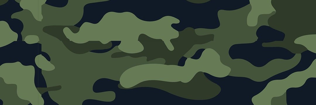 z ɐ ɹ banner