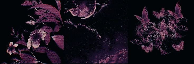 ₊˚ੈ✩ nick banner