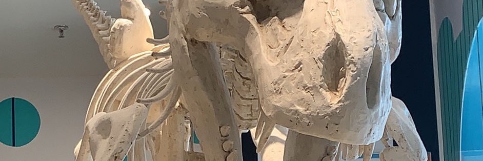 winnerking.lens |HUWA.eth🌘 (💙,🧡) banner