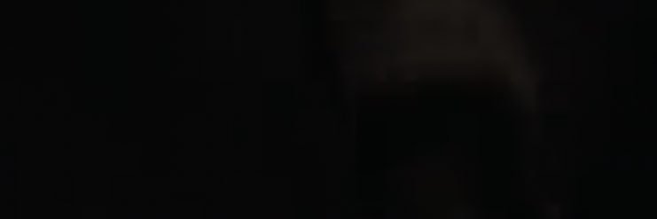 Sany banner