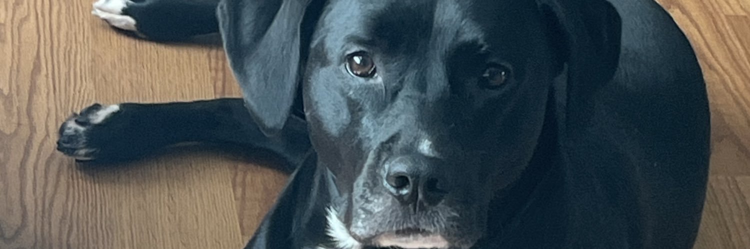 nickspack87's profile banner image