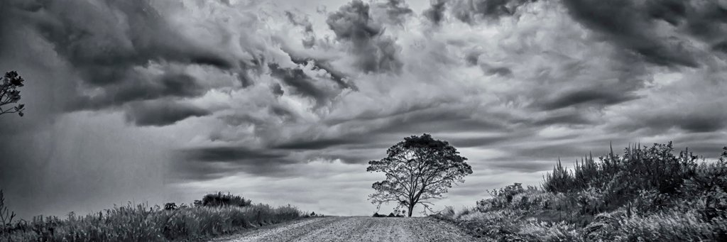 RoxBoyer's profile banner image