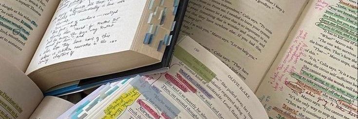 𝑎𝑙𝑒𝑘𝑠𝑎 banner