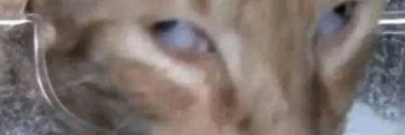 Jake Walters | Home Studio | Funny British Guy banner