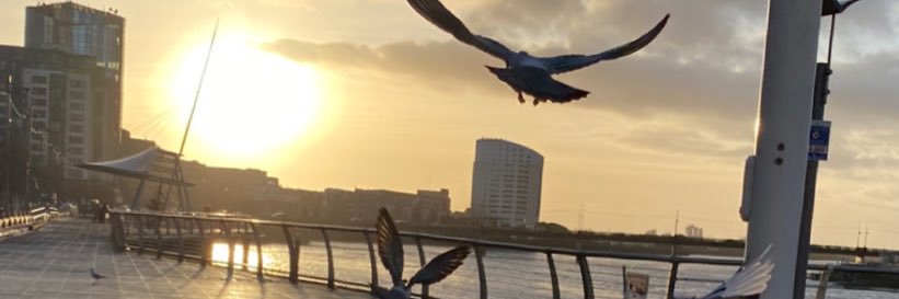 Three Bridges Walk - Limerick banner