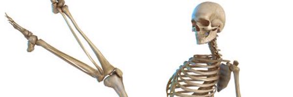 pandisa73 Profile Banner
