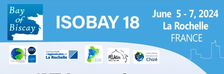 ISOBAY17's profile banner image