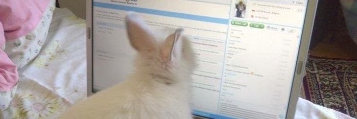 missmeivly's profile banner image