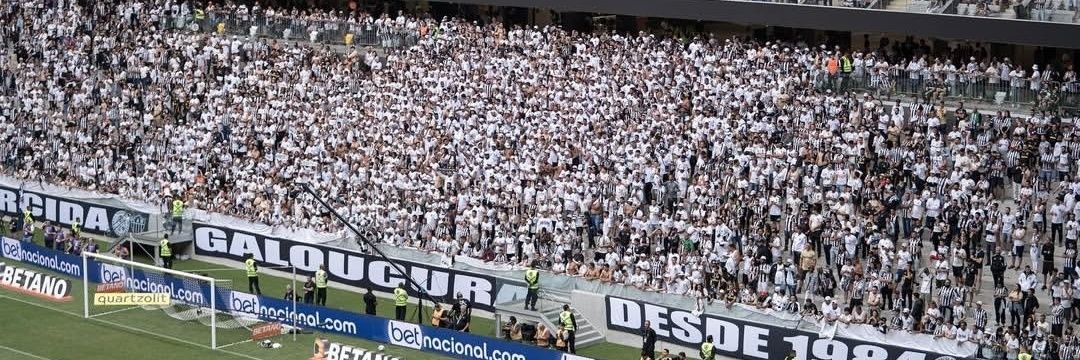 rafael🐓🏁 banner