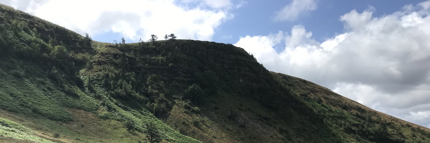 puffin34's profile banner image