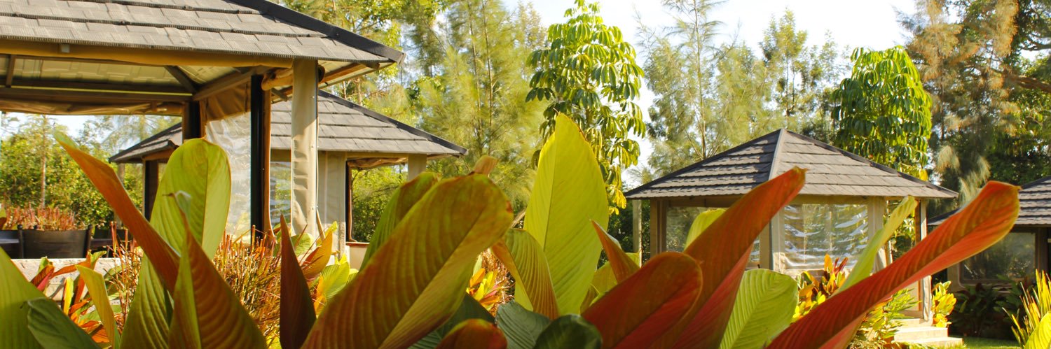 Dudi Resort banner