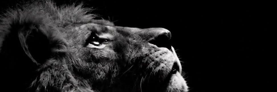 AwadWsam's profile banner image