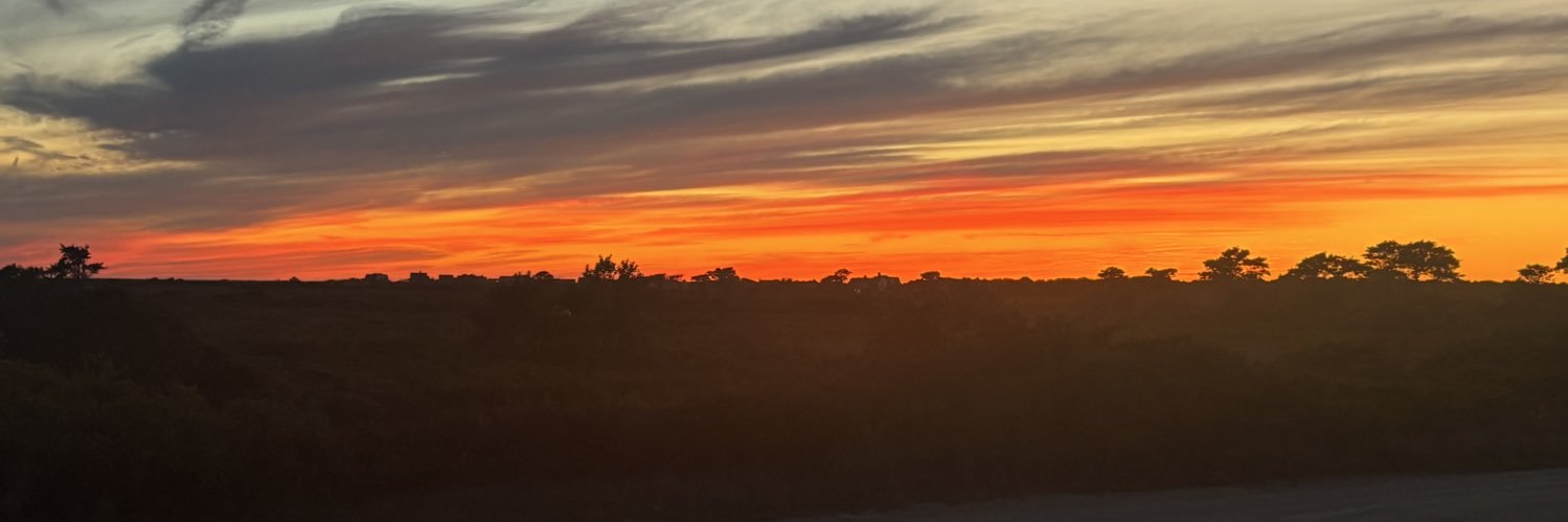 William D. Cohan banner