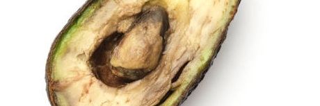DayOldAvocado banner