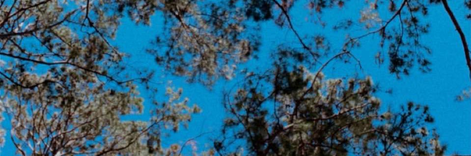 baileyklepac's profile banner image