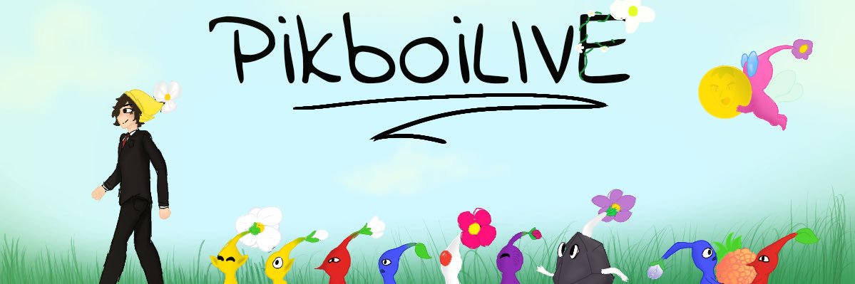 Pikboi “Piktassium” Live #FlipsideSMP banner