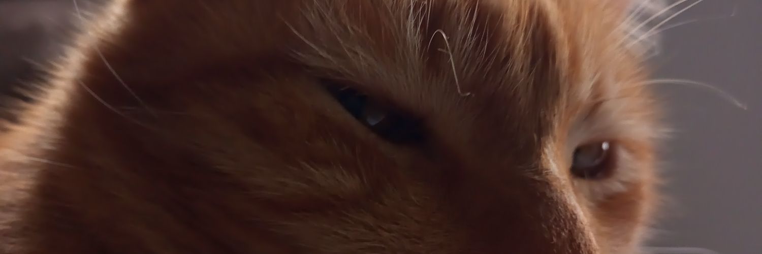 melconhalizada's profile banner image