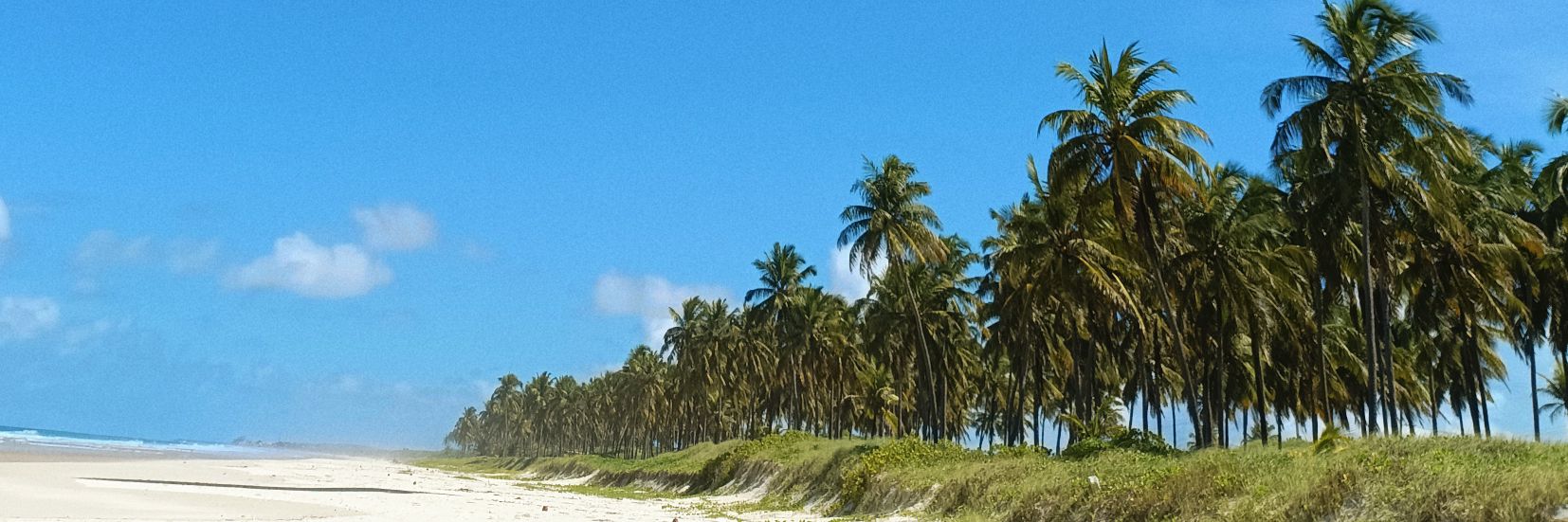 PRAIÊRO SAFADO banner