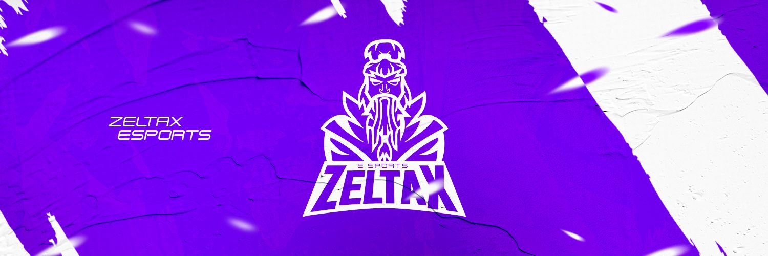 Zeltax Esports banner