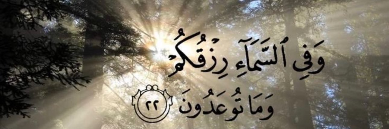 Reem Mohammed🤍🐋 banner
