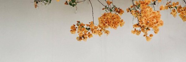 IStephanblome Profile Banner