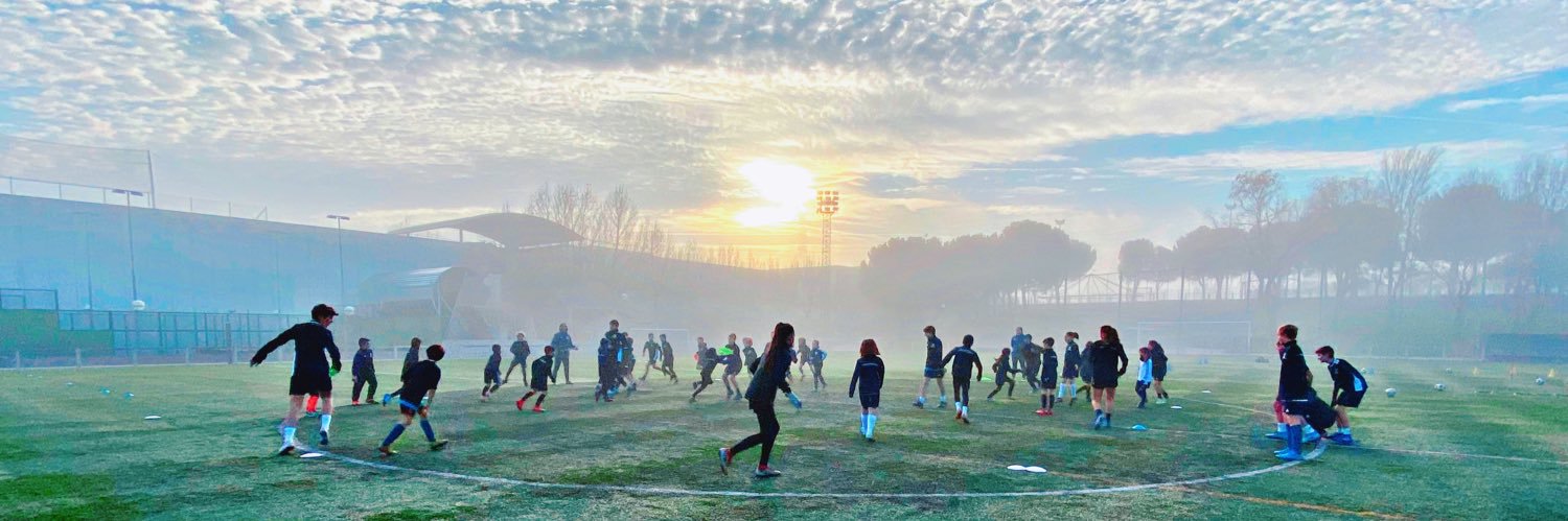 David Martinez banner