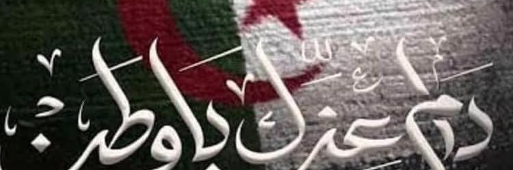 mellahmrd's profile banner image