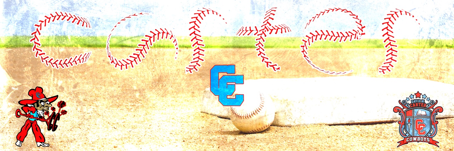 David W. Carter HS Baseball banner