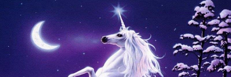 refusaltogrowup's profile banner image