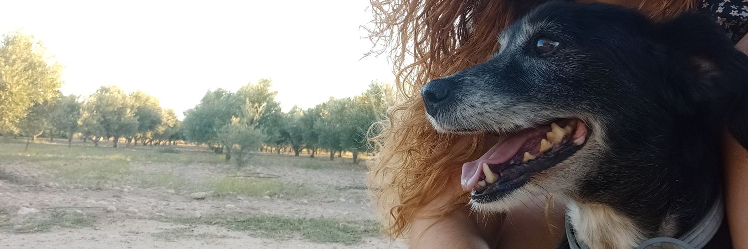 clauuu_be's profile banner image