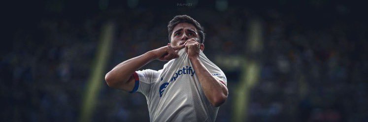 Maelo 🦝 banner