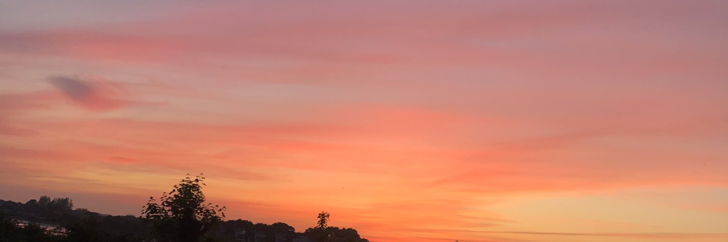 amybridqe's profile banner image