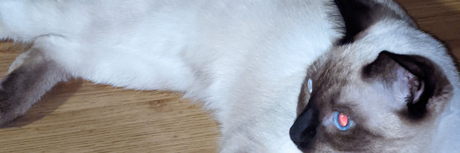 XPT01's profile banner image