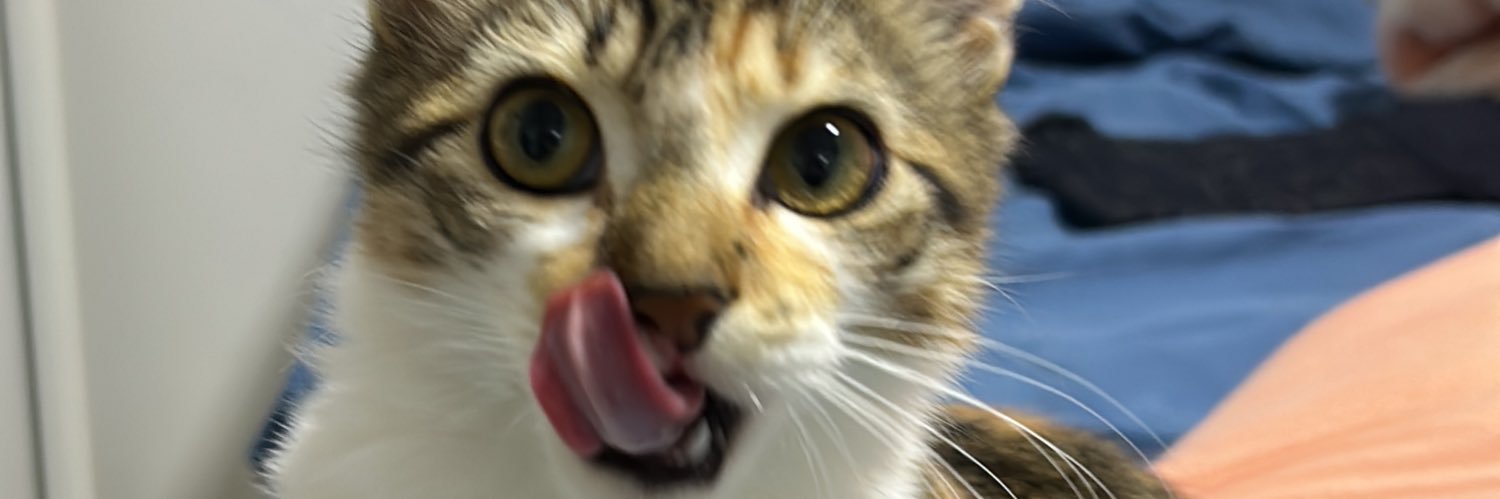 yzthau_'s profile banner image