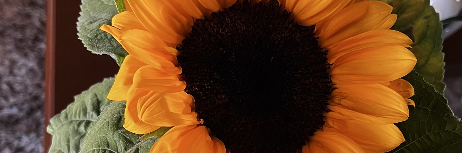 tharaizer's profile banner image