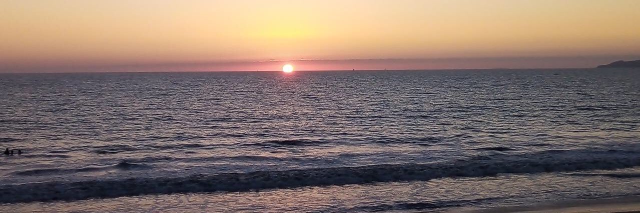 Estrellitadelmar banner