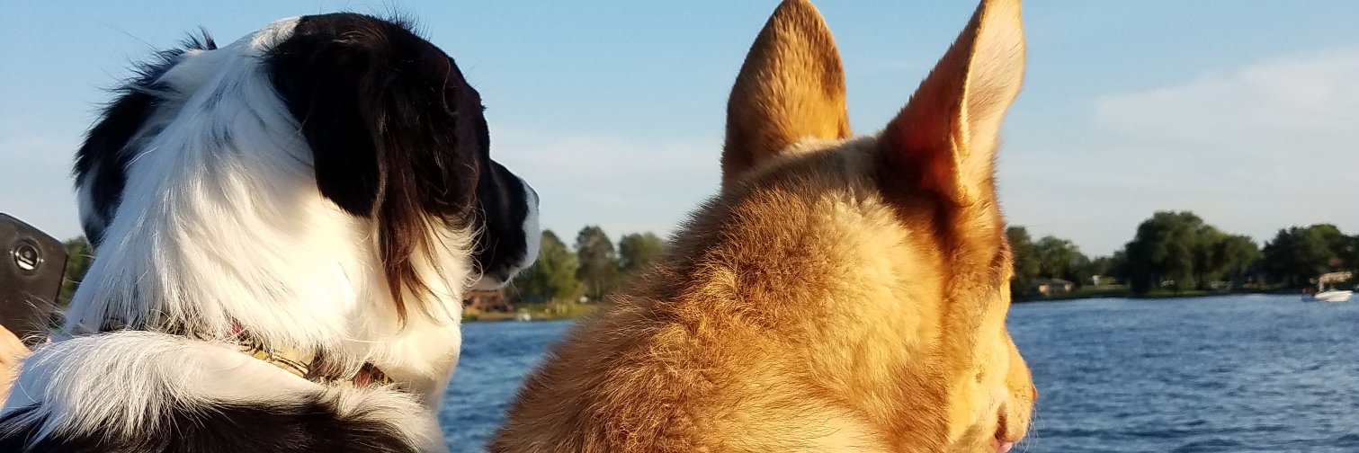 bgit14's profile banner image