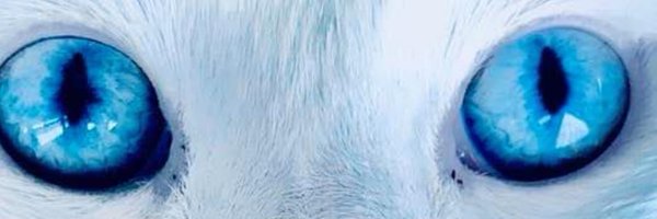 DUSTYAMC Profile Banner