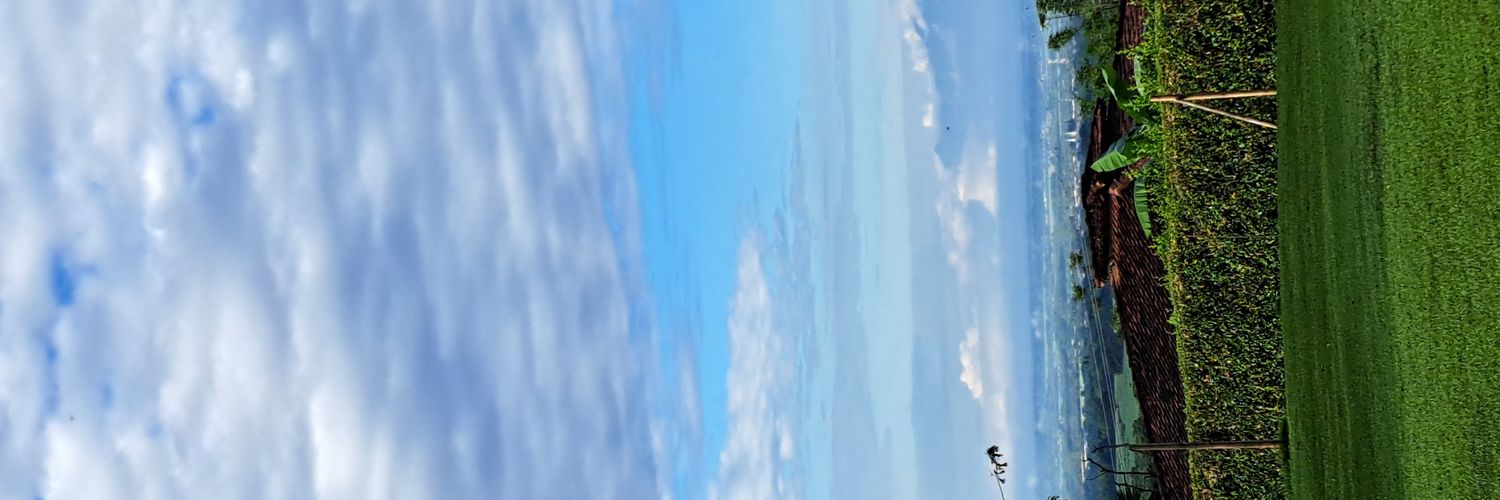 Giselle banner