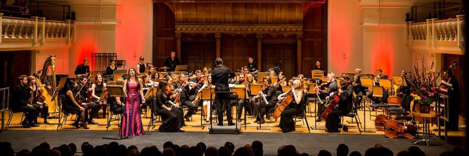 Honey Rouhani banner