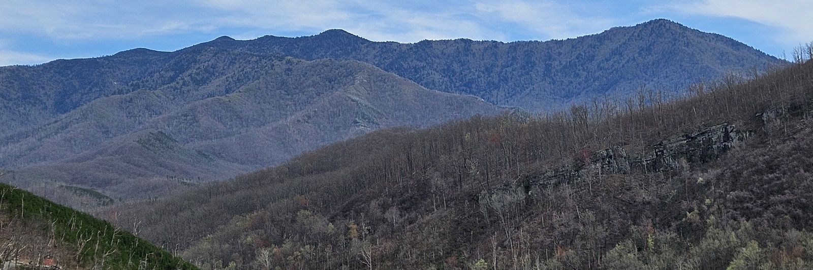 waldogator25's profile banner image