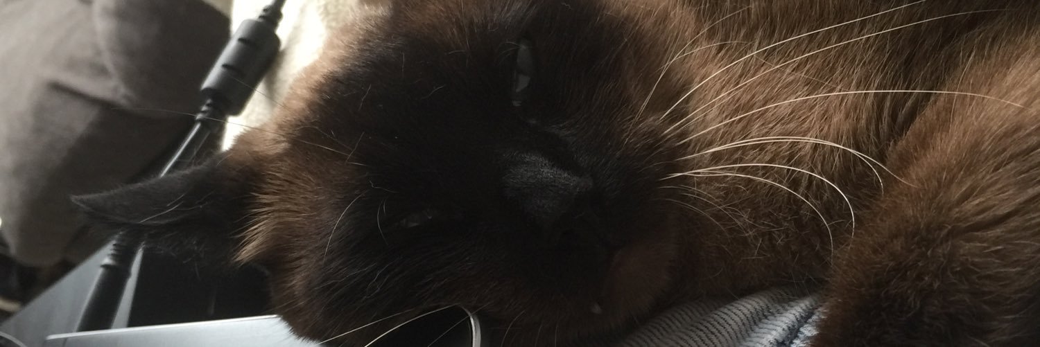 StephPo's profile banner image