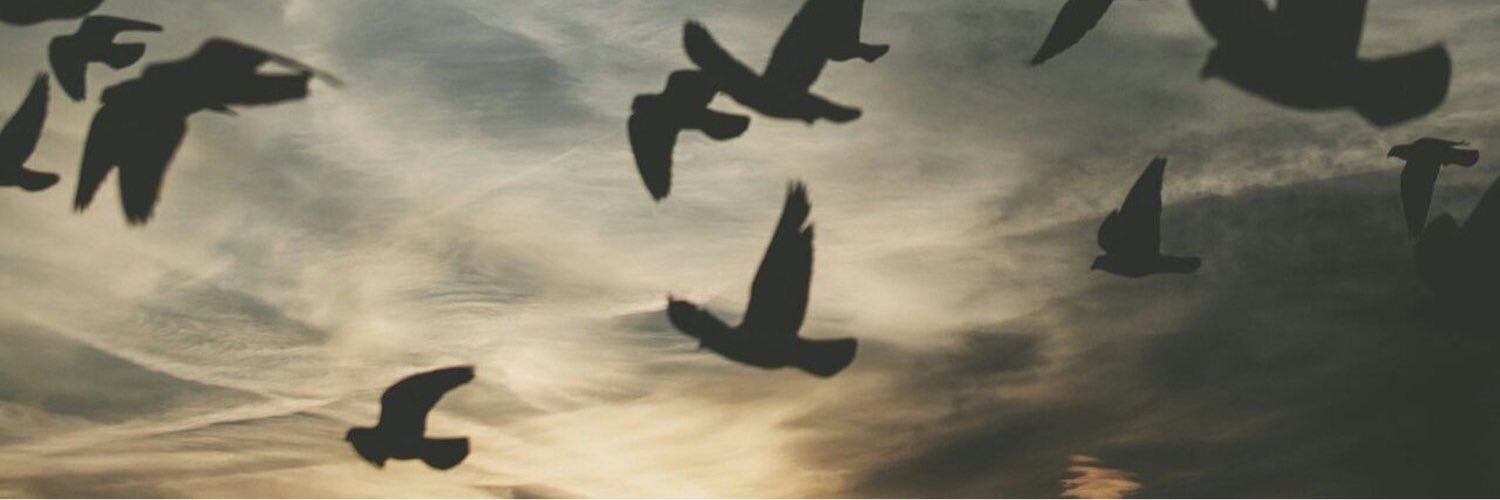 asenatasar's profile banner image