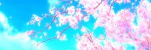 다모 banner
