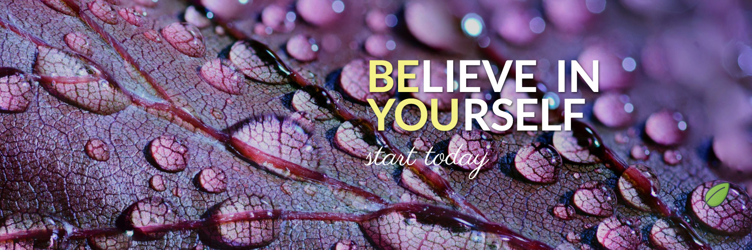 DeFiWhale ETHGas ⛽ banner